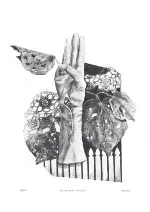 Michele Bluck Fine art print of Graphite pencil sketch of a gloved hand, doing the I promise gesture or a salute. The glove is vintage. In the background is a picket fence and New Zealand native fauna, KawaKawa